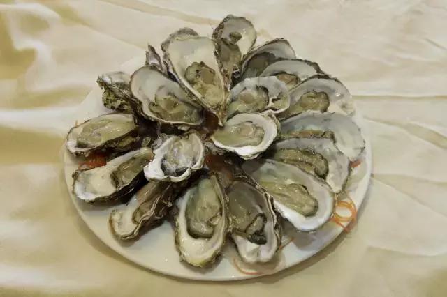 我要上月球视频,我要上月球粤语