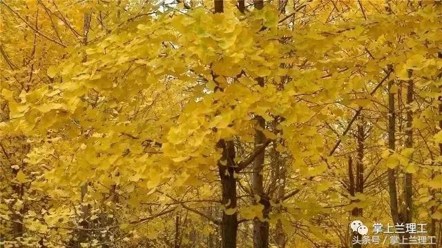 我为什么不推荐你报考兰州理工大学？