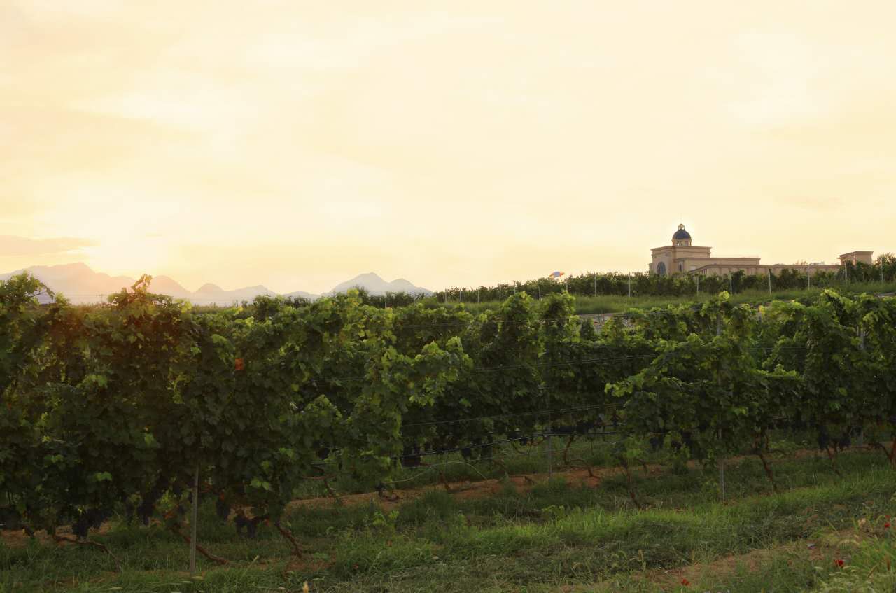 我在生命湖酒店吃了顿“横”的,厨师是奥运会的特级“选手”