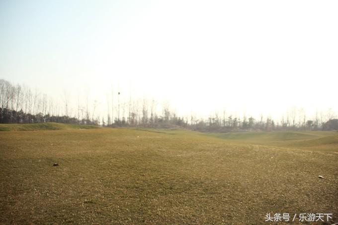 郑州思念果岭是森林公园吗,郑州思念果岭高尔夫球场