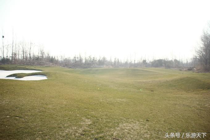 郑州思念果岭是森林公园吗,郑州思念果岭高尔夫球场