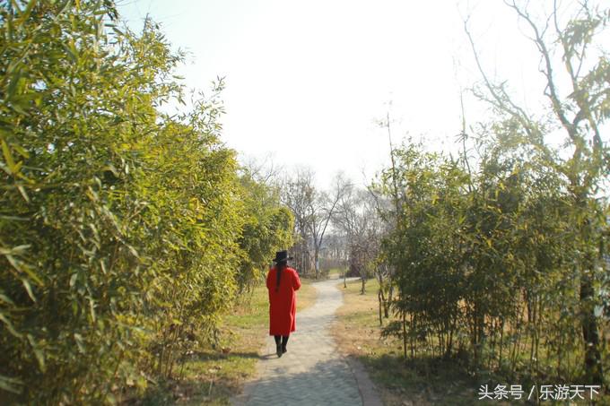 郑州思念果岭是森林公园吗,郑州思念果岭高尔夫球场