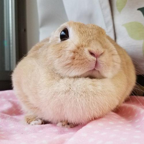 一个人很孤单该干什么呢,一个人很孤单做什么最合适