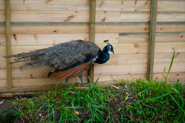 温州三八妇女节好玩的地方,温州三八节活动