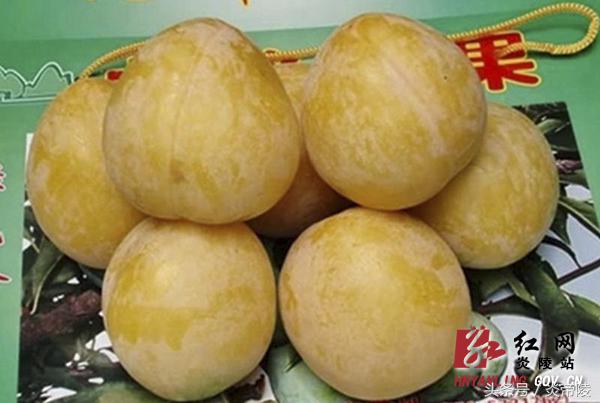 美丽炎陵，一个您想要去而一定要去的地方