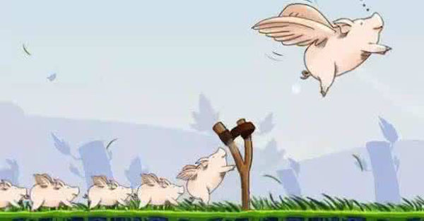 合伙人创业经验总结怎么学习,创业经验分享技巧怎么写