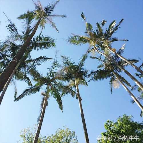 女生如何打造优雅的高品质生活,优雅女人提升气质必备训练