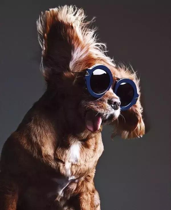 圈粉张柏芝、范爷、李湘,KarenWalker不愧是freestyle界老司机