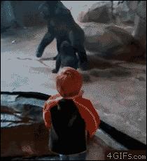 兔子弹跳动态图,gif一张图告诉你兔子的弹跳力