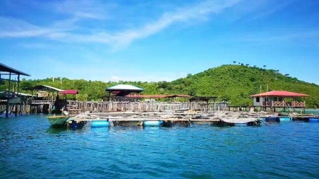 马来西亚古达,马来西亚亚庇古达