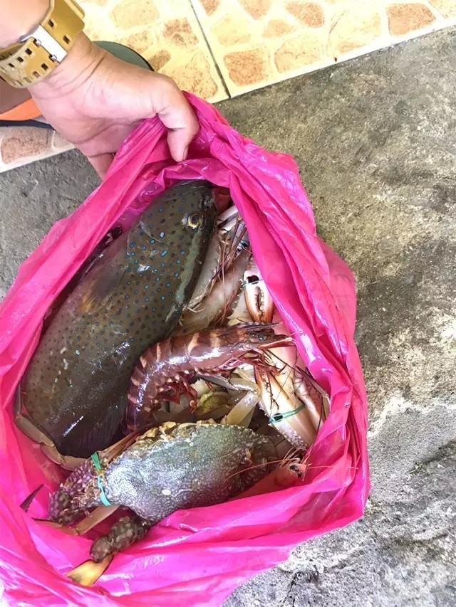 马来西亚古达,马来西亚亚庇古达