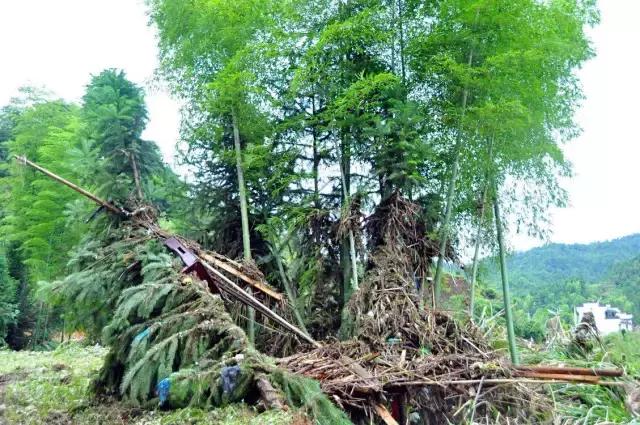 上饶城市魅力,魅力中国城粤语