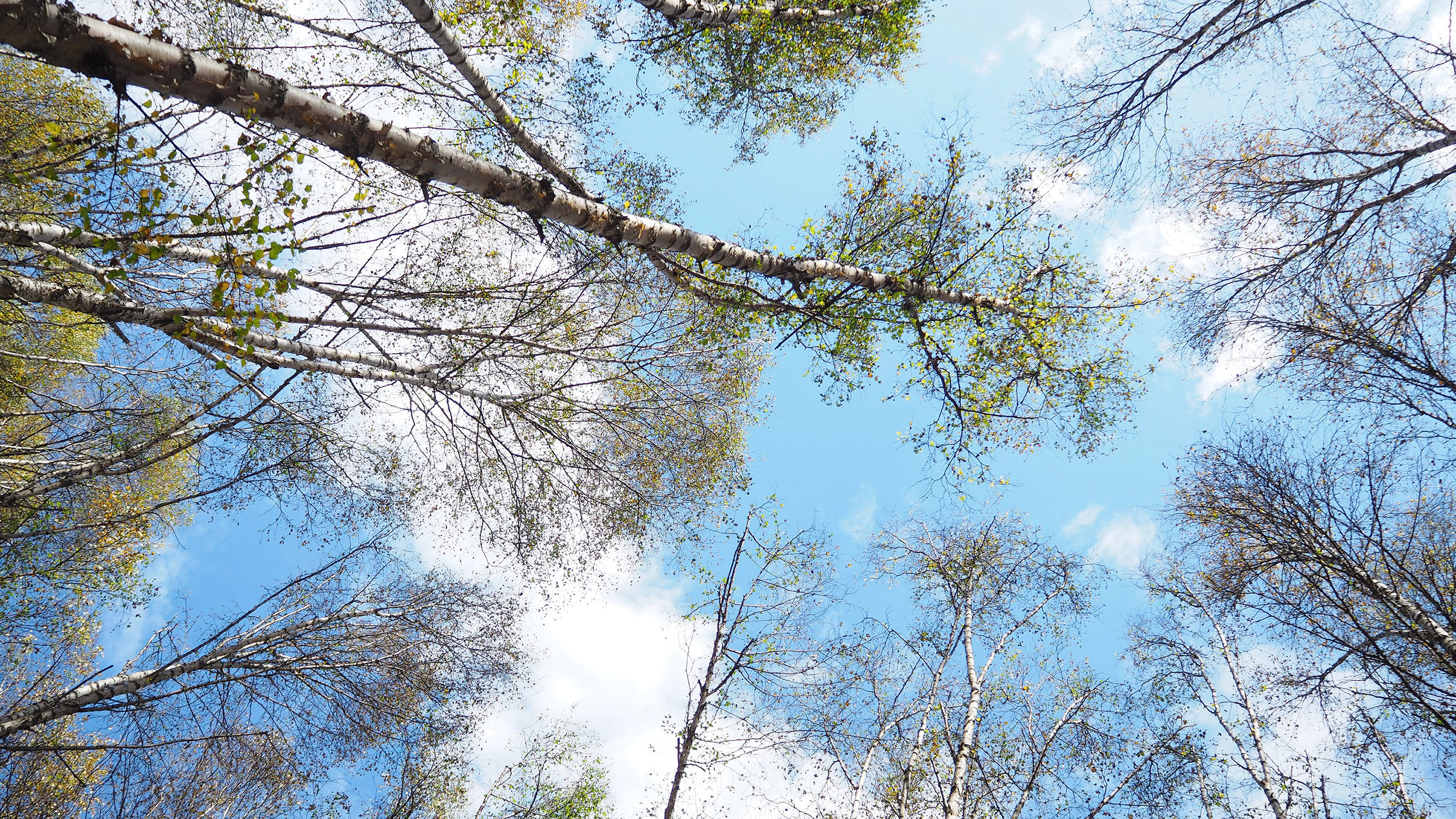 青海游记探秘神秘的青藏高原之旅,青藏高原旅行大全