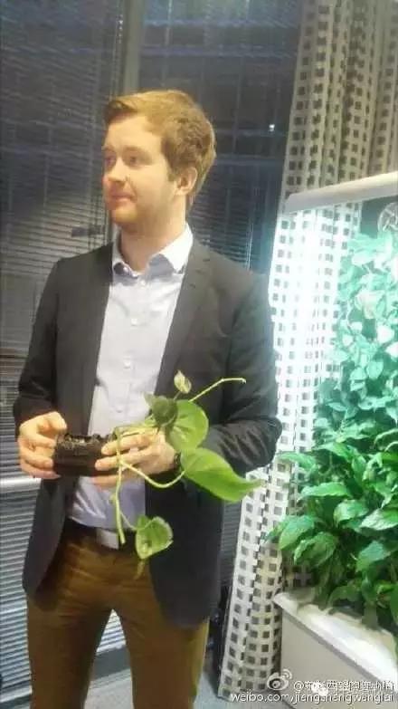 为居室带来高山空气的智能植物墙——芬兰清洁技术考察之旅见闻（一）