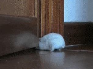 怎样让球可以绕过守门员转进去,开球怎么直接让球飞进球门