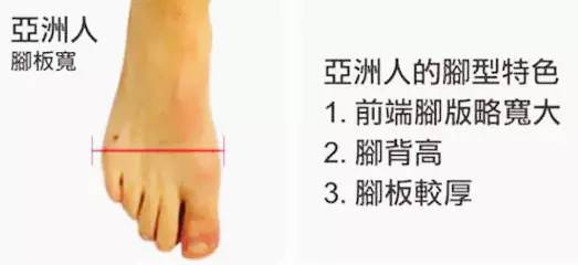 不同脚型的人应该穿什么鞋高跟鞋,不同脚型穿不同的跑鞋