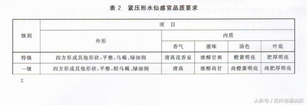 老杨说茶完整版视频,老杨说茶112期