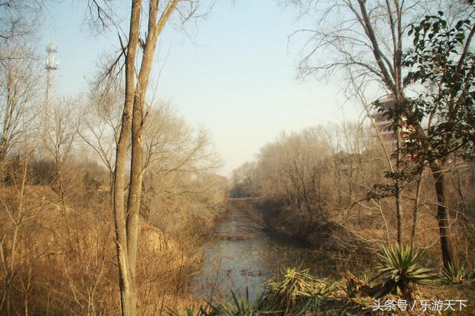郑州思念果岭是森林公园吗,郑州思念果岭高尔夫球场