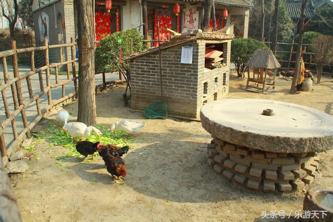 郑州思念果岭是森林公园吗,郑州思念果岭高尔夫球场