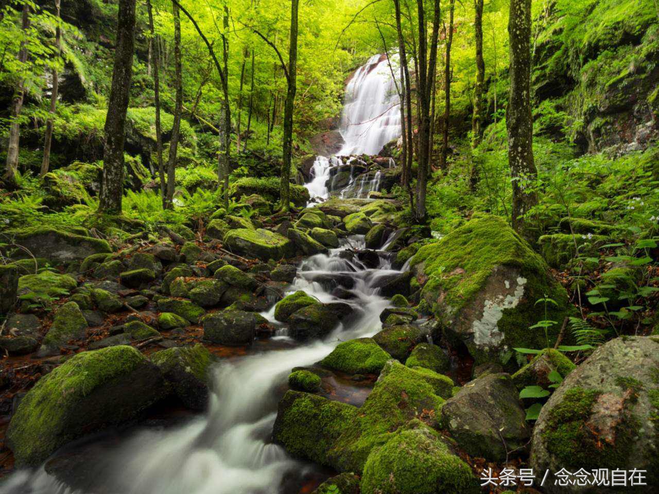 耶输陀罗与悉达多太子同床异梦,其中到底有何玄机?