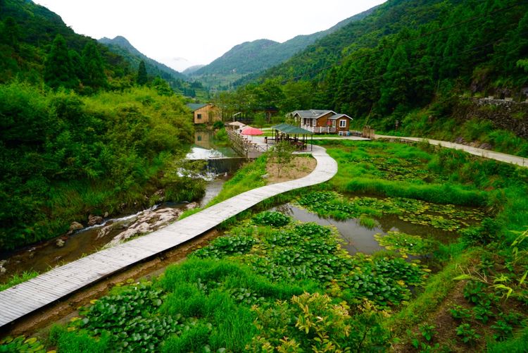 温州三八妇女节好玩的地方,温州三八节活动