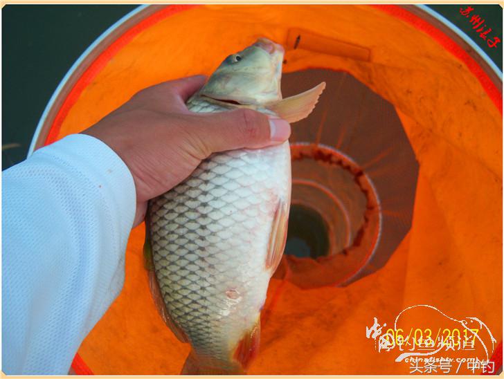 先分后合，爽钓半天