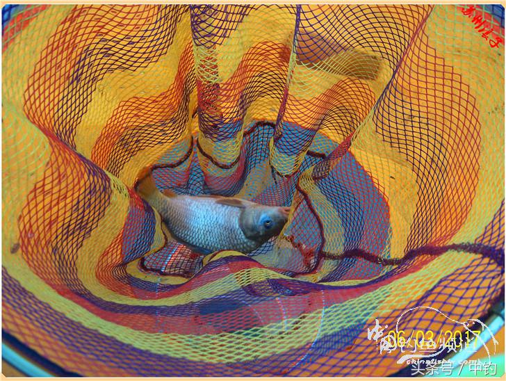 先分后合，爽钓半天