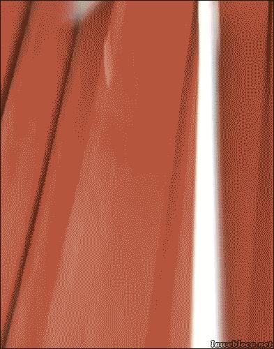 兔子弹跳动态图,gif一张图告诉你兔子的弹跳力