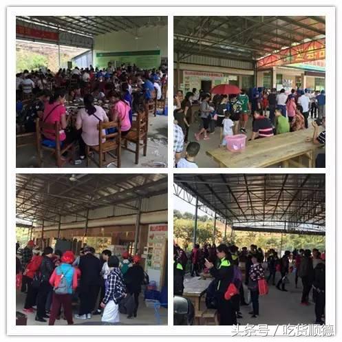 高明可以摘水果的农庄,高明60亩农庄