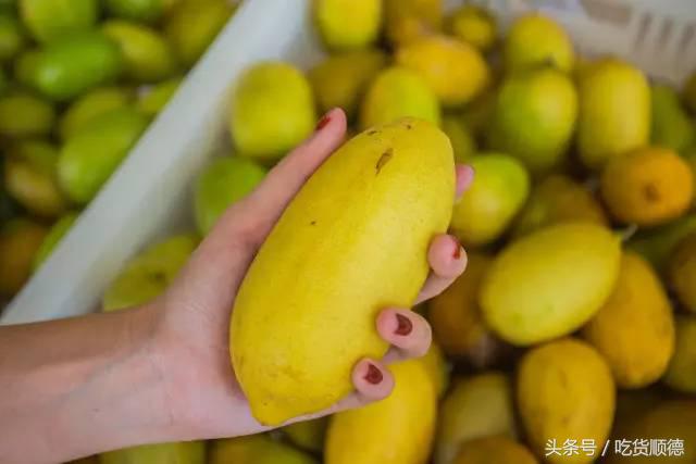 高明可以摘水果的农庄,高明60亩农庄