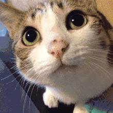 为什么湿敷完全是闭口,去闭口湿敷多久一次为最佳