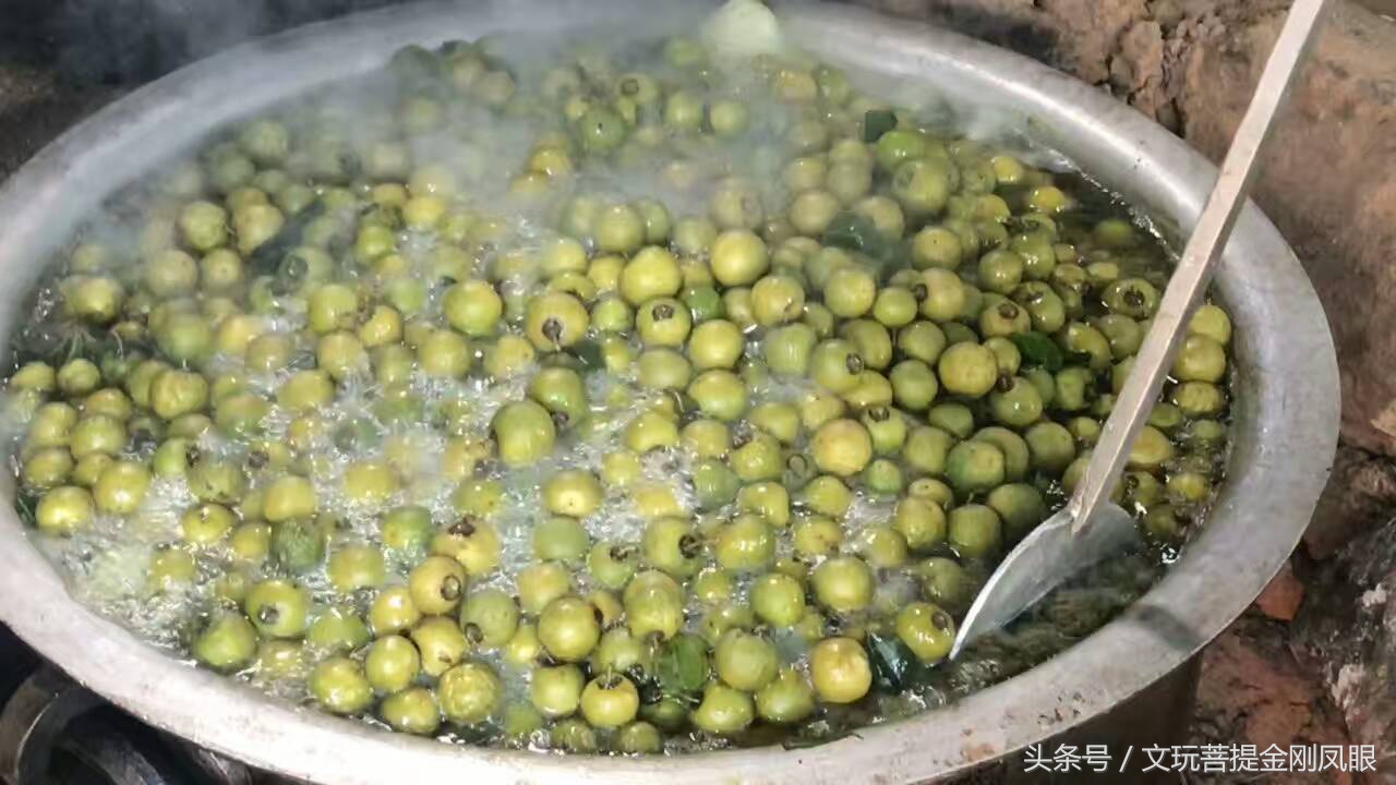 凤眼菩提从下树所有工序,千眼菩提开果过程