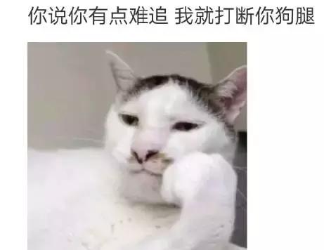 我已经不是我了日语,我已经不是我了啥意思