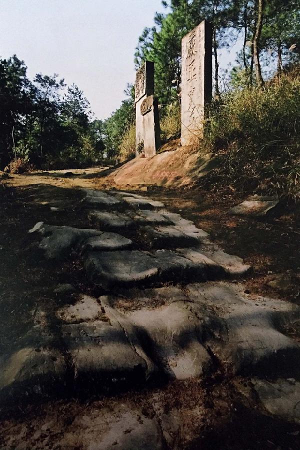 本周重庆有什么活动吗,重庆本周末活动推荐