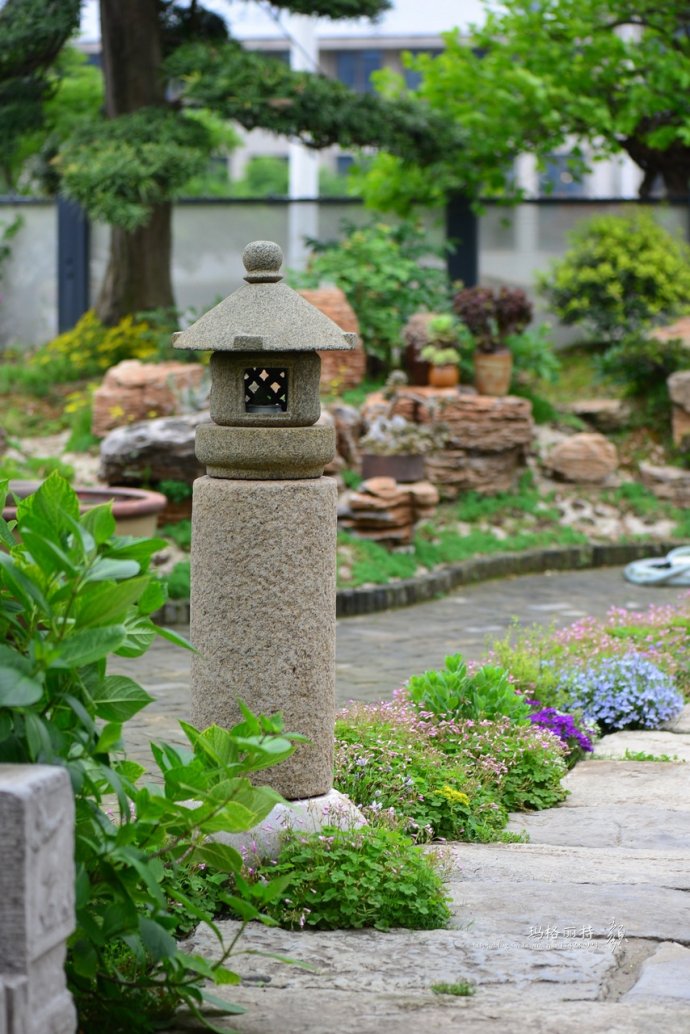 鎷滆涓滅鑽夊爞,鑺卞洯鎷滆