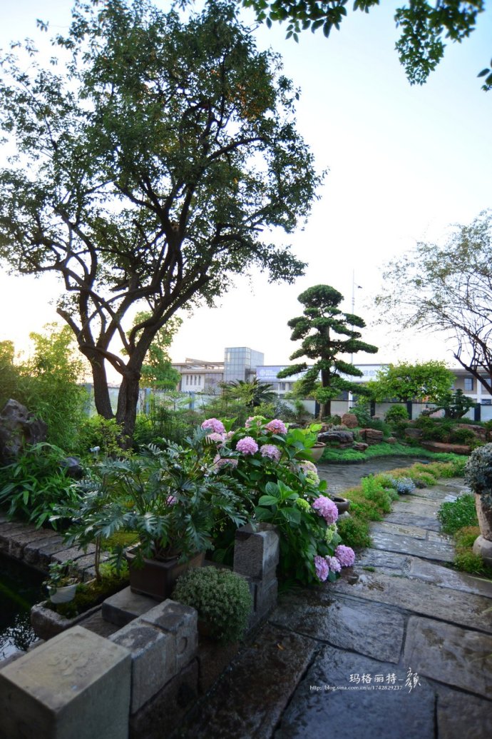 鎷滆涓滅鑽夊爞,鑺卞洯鎷滆