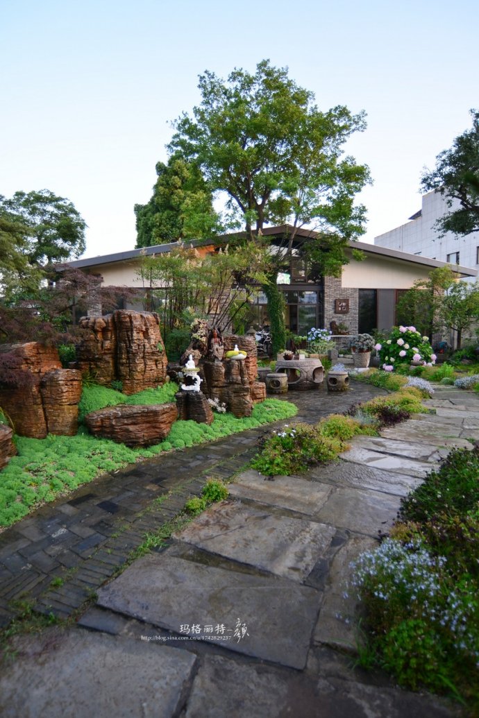 鎷滆涓滅鑽夊爞,鑺卞洯鎷滆