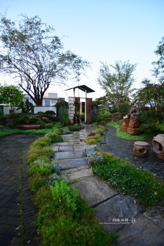 鎷滆涓滅鑽夊爞,鑺卞洯鎷滆