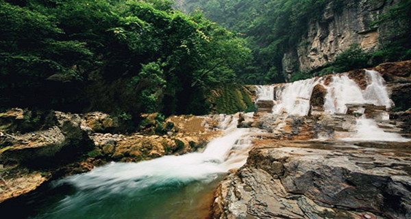 山西阳城蟒河猕猴自然保护区,阳城猴是谁