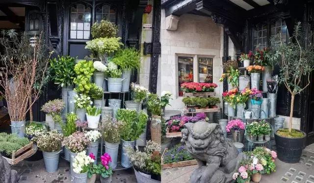 开一家花店需要投资多少钱呢,新手开花店需要注意哪些问题