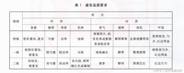 老杨说茶完整版视频,老杨说茶112期