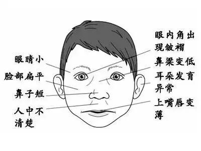 孕早期喝葡萄酒有什么影响,孕妈喝葡萄酒