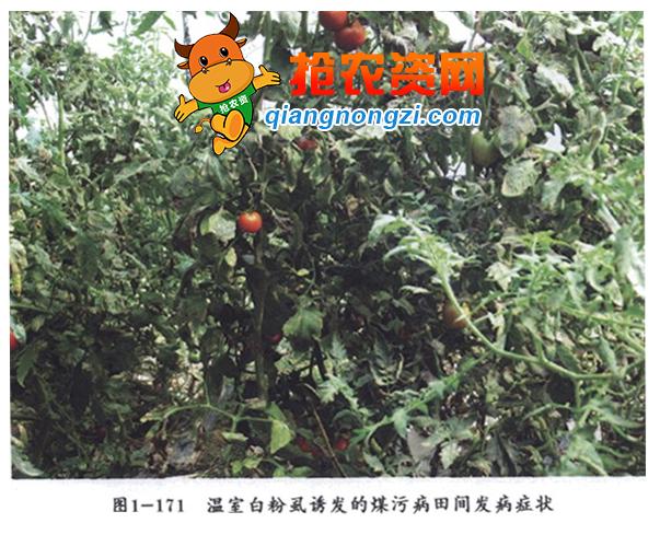 当今的农民最怕的是什么,农民最怕什么