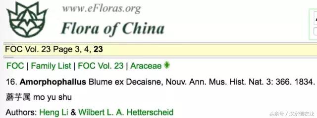 「富硒集市」到底是魔芋、磨芋、还是蘑芋?