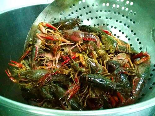 湘菜加盟连锁排行,湘西部落特色湘菜