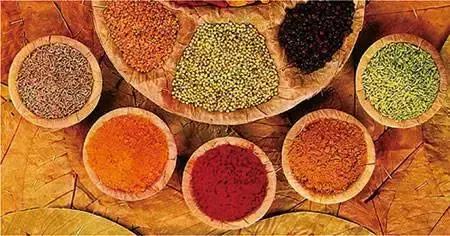 斯里兰卡旅游攻略费用多少,斯里兰卡要花多少钱