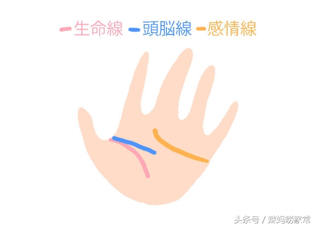 手相怎么看小孩子以后过得怎么样,手相预测法