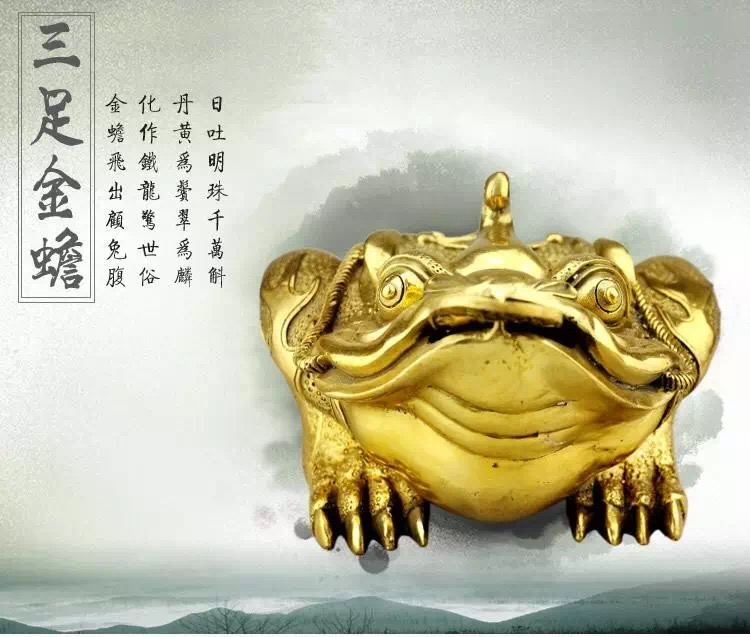 普洱养什么茶宠,茶宠能用普洱生茶养吗