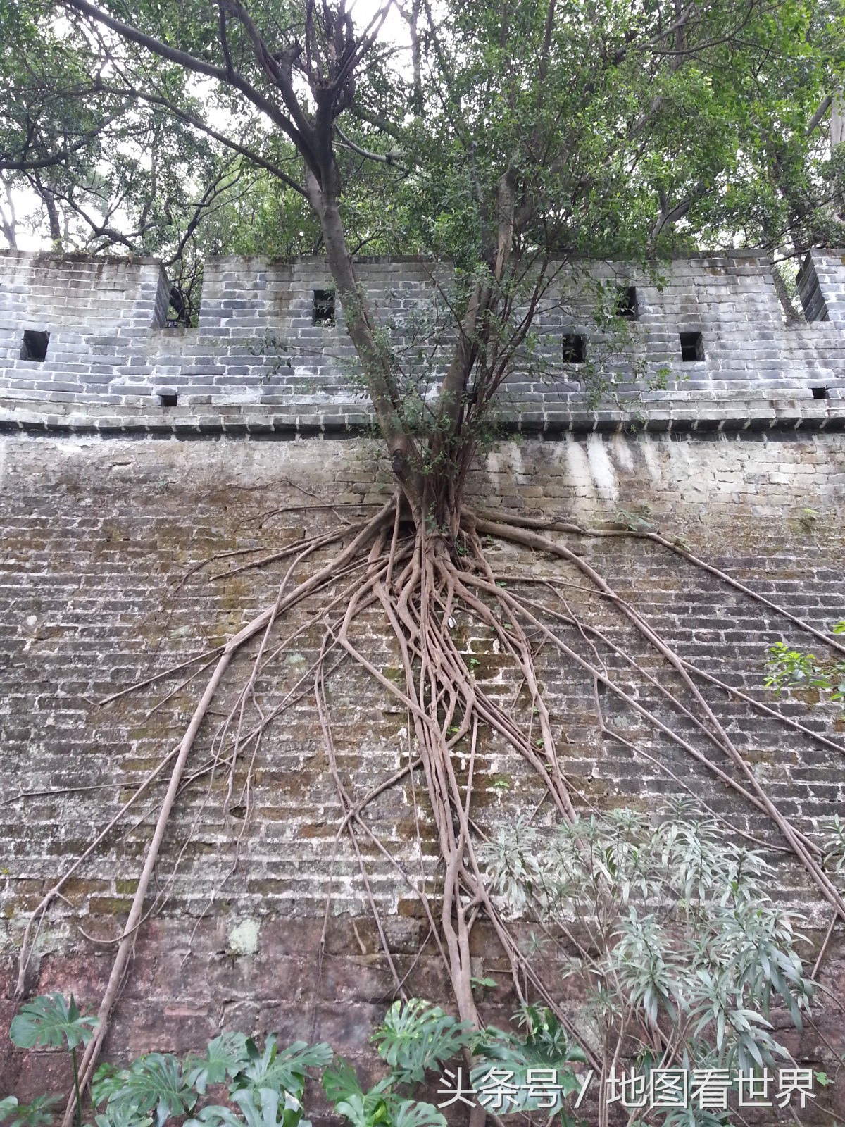 广州一站式旅游胜地,广州八号线坐地铁旅游景点推荐