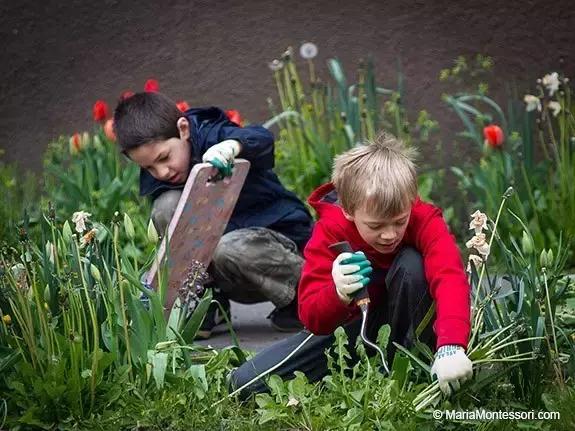 蒙台梭利被誉为什么,蒙台梭利是哪一个国家的